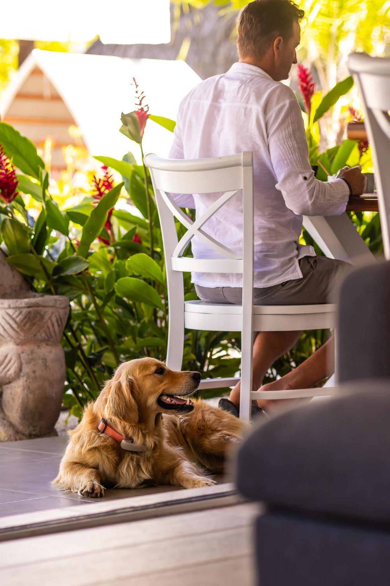 Les Voiles Blanches - Luxury Lodge ตามารินโด ภายนอก รูปภาพ